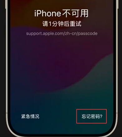 青羊苹果手机密码维修分享iPhone忘记了刚设置的密码 