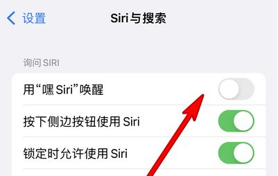 青羊苹果13维修分享iPhone 13怎么唤醒 Siri  